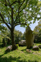 Menhir celte en r&eacute;gion Bretagne