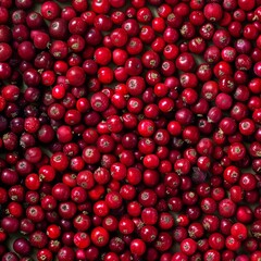 Lingonberry texture background, Vaccinium vitis-idaea fruits pattern, many partridgeberry mockup