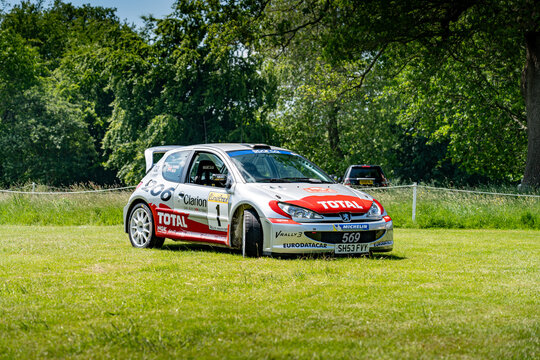 Peugeot 206 Rally Car