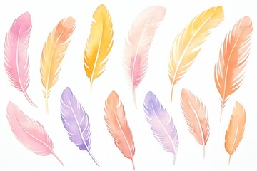 Vibrant watercolor feathers in various colors and patterns arranged in an artistic display on a white background.