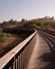 Puente de madera al lado del mar un d&iacute;a soleado