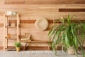 Houseplants, bench and shelving unit near wooden wall