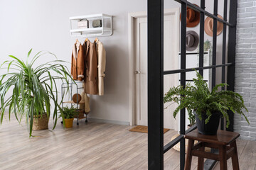 Houseplants and rack with clothes near white wall in interior of hallway
