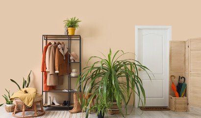 Houseplants and rack with stylish outwear near beige wall in interior of modern light hallway