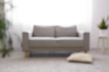 Interior of stylish living room with grey sofa, houseplant and light curtains, blurred view