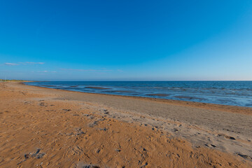 Looking out over a sandy beach in spring.