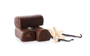 Tasty curd snack bars with vanilla isolated on white background