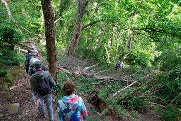 Groupe de randonneurs sur un sentier en Bretagne - France