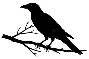 crow bird silhouette vector illustration