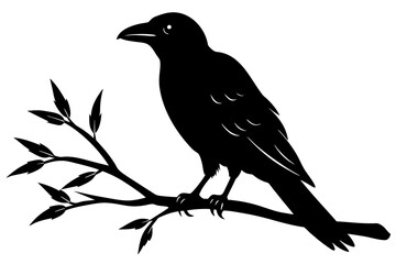 crow bird silhouette vector illustration