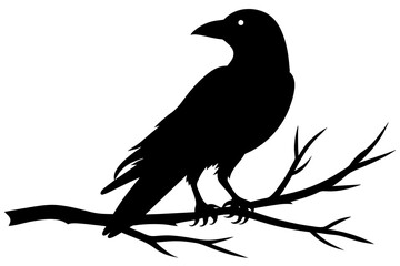 crow bird silhouette vector illustration