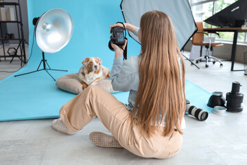 Female photographer taking picture of Australian Shepherd dog on pouf in studio