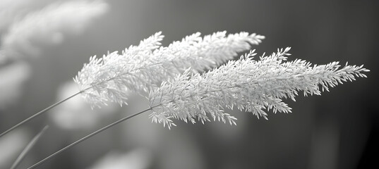 Obraz premium A close-up of nature grassland plants, the details and textures of the grasses captured in stunning clarity