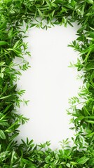 Naklejka premium frame made of grass around the edges on a white background.