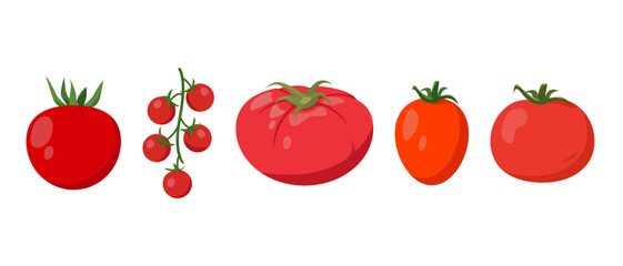 Set of Fresh tomatoes. Red, Cherry, Plum and large pink farm tomatoes plant icons. Organic vegetables vegetarian food. Vector illustration isolated on white background.