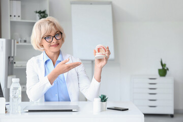 Female dentist with jaw model at table in clinic