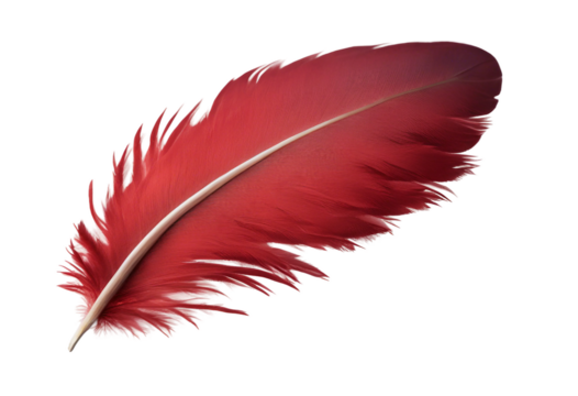 Red feather isolated on transparent background cutout - Powered by Adobe