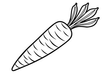 Carrot vector art illustration