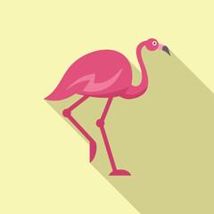 Pink flamingo showing its beauty, posing for the observer