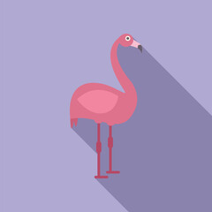 Pink flamingo standing on its long legs