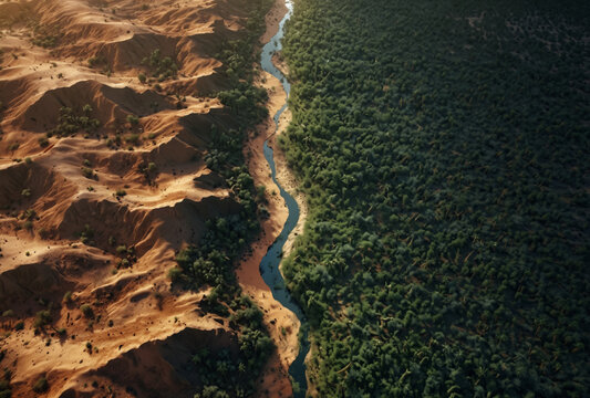Aerial photo of splited landscape between forest and desert, devided by a river