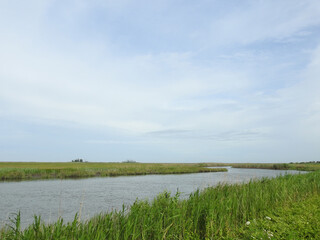 The natural beauty of the wetlands within the Bombay Hook National Wildlife Refuge, during the summer season, Kent County, Delaware.