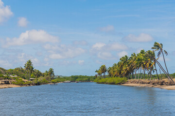 Palm trees in lagoon of Guaraíras, Pipa, Rio Grande do Norte, Brazil.