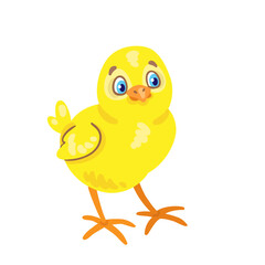 Funny little yellow chicken. Isolated on white background. Vector flat illustration.