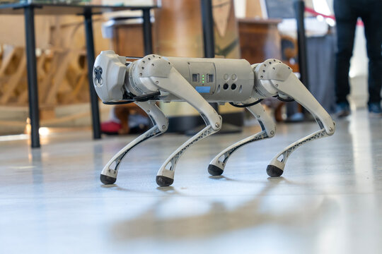 Gray military robot dog at a demonstration