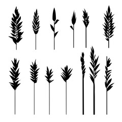 set of wheat ears, Vector style design , flat
