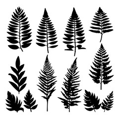 Obraz premium set of silhouettes of leafs, Vector style design , flat