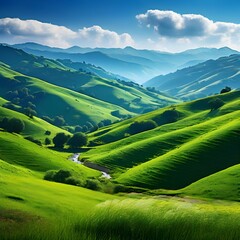 landscape with green field