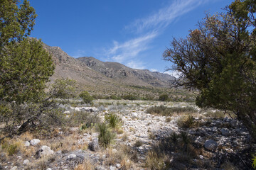 Guadalupe Mountains National Park, Texas