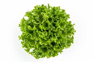 Obraz premium Endive salad head top view on white background