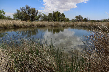 Frijole Spring at Guadalupe Mountains National Park, Texas