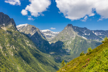 Tour du Montblanc beautiful mountain ladscapes of the Alps green valley, snow summit of Montblanc and rocky peaks of Aiguille du Midi in summer sunny weather blue sky, trekking and hiking in Chamonix
