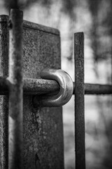 the metal lock and the fence