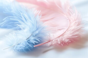 Close up of vibrant pink and blue feathers showcasing intricate details and vivid colors