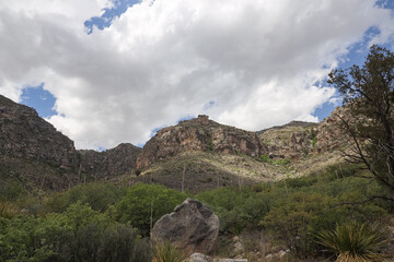 Guadalupe Mountains National Park, Texas