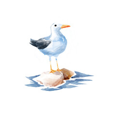 Seagull is sitting on a stone, a cute watercolor children's illustration on transparent background.