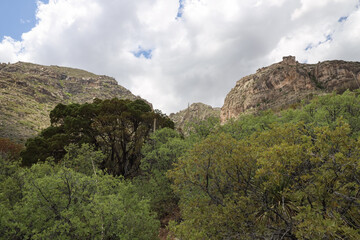 Guadalupe Mountains National Park, Texas