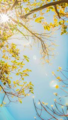 Obraz premium Essence of nature with a clear blue sky vibrant and infinite with bright yellow sunlight radiating a warm golden glow, generated with AI