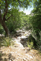 Fototapeta premium Hiking trail at Guadalupe Mountains National Park, Texas