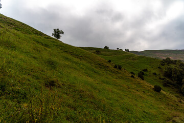 Caucasian mountain. Dagestan. Trees, rocks, mountains, view of the green mountains. Beautiful summer landscape.