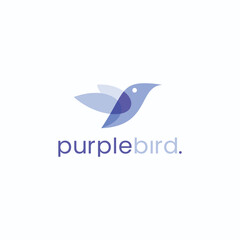 purple bird colorful logo design