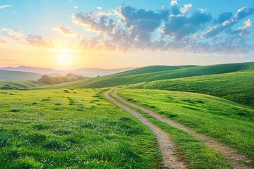Fototapeta premium Scenic Winding Path Through Lush Green Field at Sunset