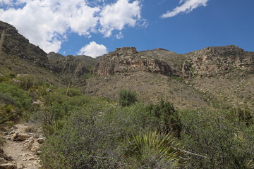 Guadalupe Mountains National Park, Texas