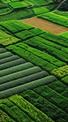 Vibrant Green Agricultural Scene with Fieldwork. Sustainable farming concept