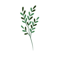 Fototapeta premium Greenery