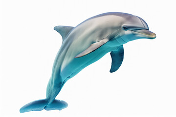 Obraz premium A realistic 3D rendering of a dolphin swimming in a white background.